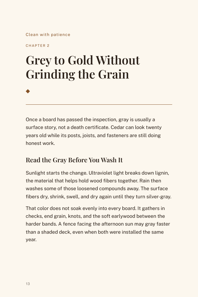 Page 13 — Grey to Gold Without Grinding the Grain